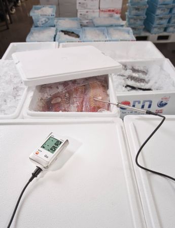 05721752 | Enregistreur de données en température Testo 175 T2 