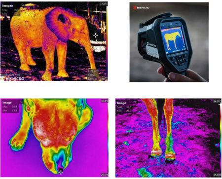 HM-TP23A-10QF/WM31T | Caméra thermique M31T, 384 x 288 px, 5°C à 40°C, température corporelle humaine et animale, écran tactile