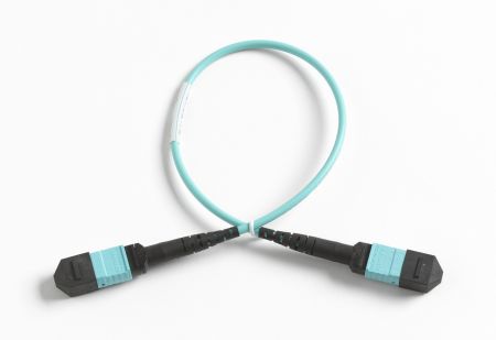 TRC-MPO-UU-B | Cordon de test 0,3 m MPO/MPO, sans broche / broché, polarité de type B 