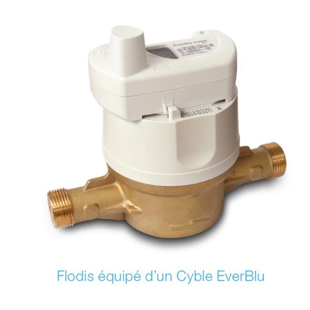 FLODIS | Compteurs d'eau Itron série Flodis de type turbine à unique 
