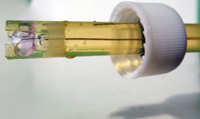 FI24PH | Sonde de pH pour FI 24 